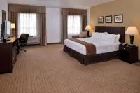 Holiday Inn MADISON AT THE AMERICAN CENTER by IHG