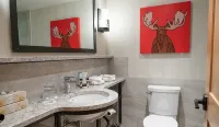 Moose Hotel and Suites Các khách sạn ở 