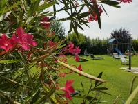 Il Giardino di Rebecca