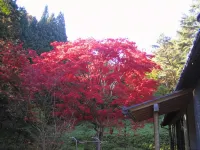 Anzuan Nishida