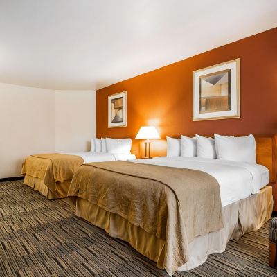 Standard Room, 2 Queen Beds Quality Inn Petaluma Promo Code