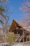 Nata Lodge Отели в г. 