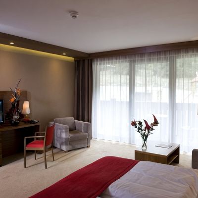 Standard Double or Twin Room with Balcony and Mountain View Wellness Hotel Chopok Promo Code