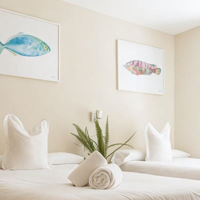 Twin Room Hotel Celta Promo Code