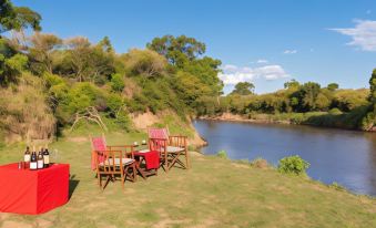 Hammerkop Migration Camp