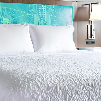 King Suite With Mobility Accessible Tub-Non-Smoking Hampton Inn Lead Promo Code