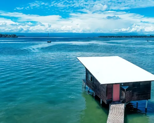 The Sea Monkey Hotels in Bastimento