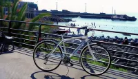 B&B Tra L'Etna E Il Mare