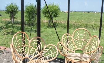 Vegan B&amp;B De Groene Mus - Housity