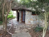 Tube n Axe Lodge and Backpackers Hotels in 