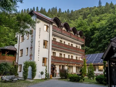 Pensiunea Sibiel Hotels in 