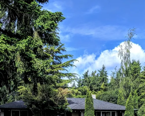 Quiet  Mid- Century Charmer Near Seattle Airport ベリアンのホテル