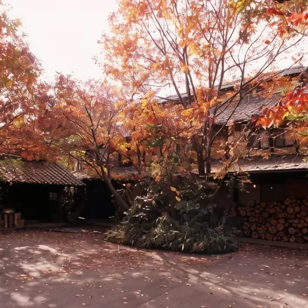 Syukubo Aso