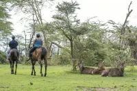 Lake Naivasha Sopa Resort Hotels in 