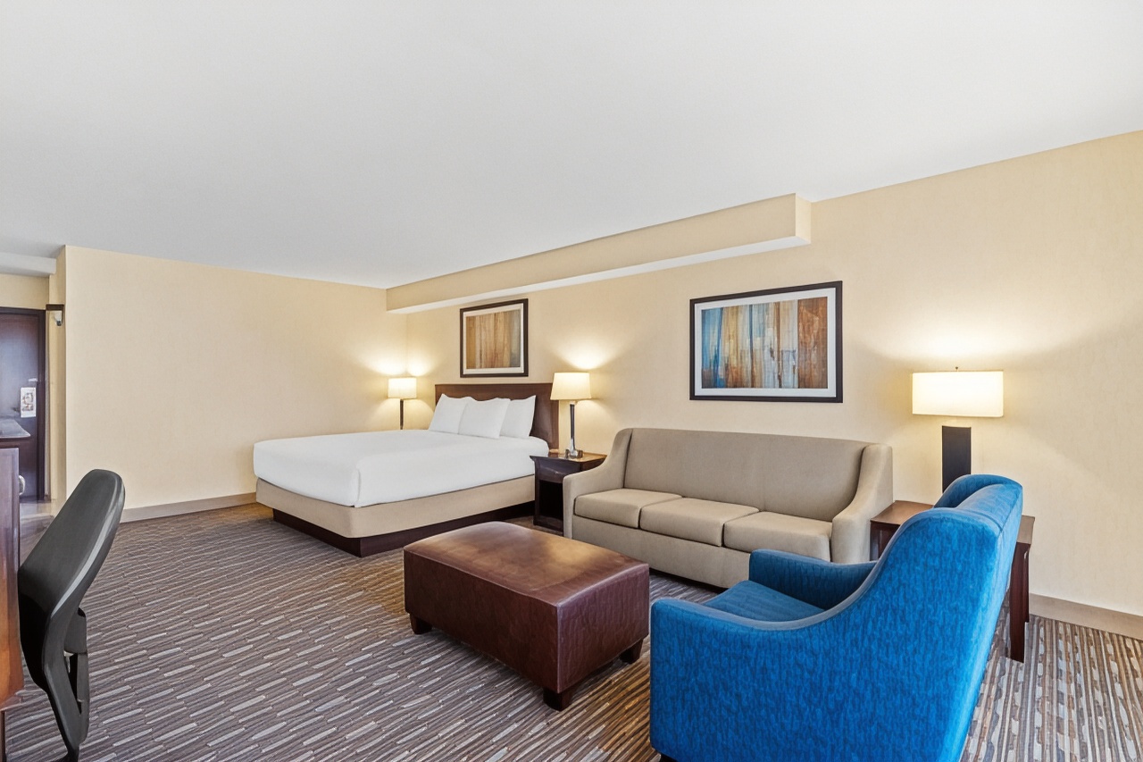 标准房， 1张特大床， 无烟房 （较大的房间）