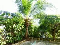 Stroll to Beaches, Restaurants - Spacious 2Br/2Br Apt, Hastings, South Coast  호텔