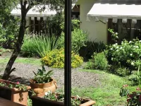 Solar de La Plaza Hotels in 