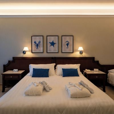 Superior Room Hotel Schuhmann Promo Code