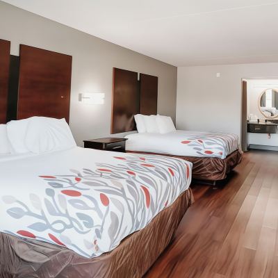 Basic Double or Twin Room, 2 Double Beds