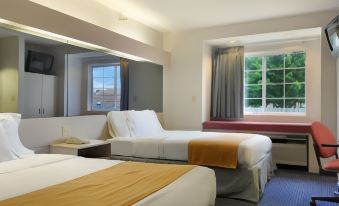 Microtel Inn & Suites by Wyndham Dayton/Riverside Oh