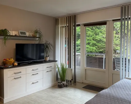 Moderne, Zentrale Wohnung mit Viel Komfort Hoteles en Upper Harz