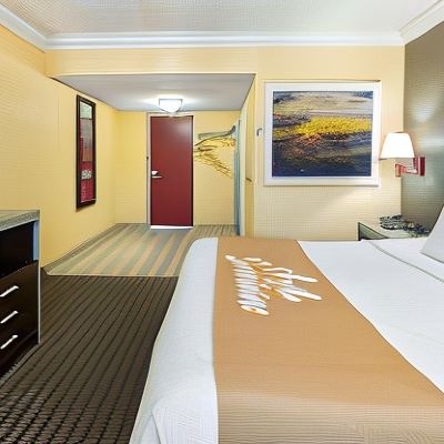 King Room With Mobility Accessible Roll-in Shower-Non-Smoking