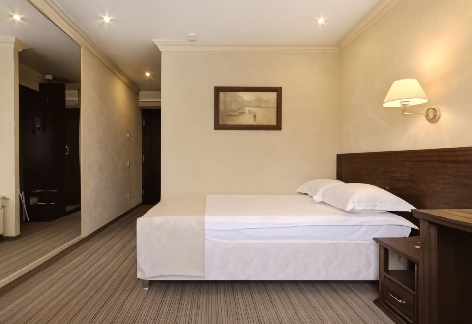 商务标准单人房