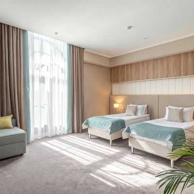 Deluxe Room With Double Bed Alpina Spa & Resort Promo Code