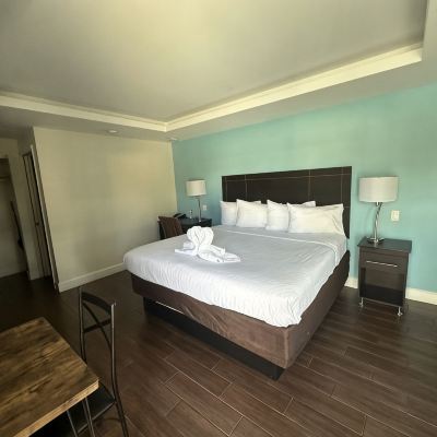 Traditional Room Curtis Inn & Suites Promo Code