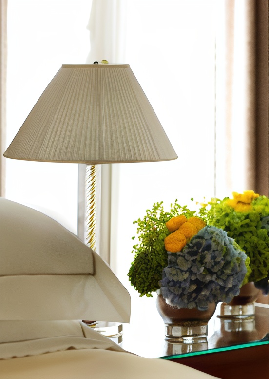 园景单间套房（2 张单人床）