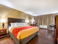 Econo Lodge Corinth Hotel di Corinth