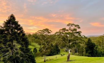 a serene landscape of a field with trees and grass , with the sun setting in the background at Whispering Valley Cottage Retreat