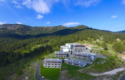 Grand Forest Metsovo - Leading Hotels of the World Отели в г. 