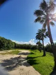 LA OLA Tarifa