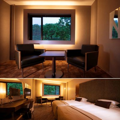 デラックスツインルーム(喫煙) ニセコノーザンリゾート・アンヌプリ クーポン