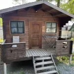 Pitsunda House Hotels in 