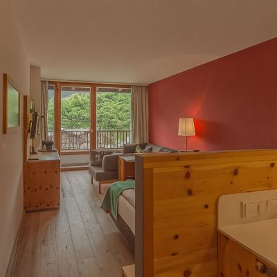 Exclusive Double Room with Balcony Spa Hotel Erzherzog Johann Promo Code