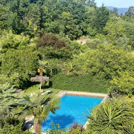 QUINTA DE RIBAS - LE VERGER - SMALL CHARMING GITE