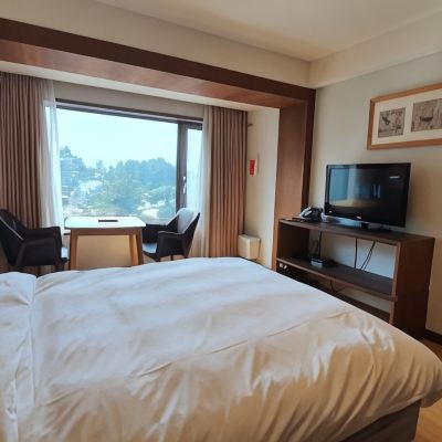 더블 침대룸 경포 비치호텔 쿠폰