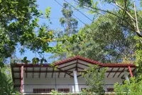 Amado Homestay (Family room)