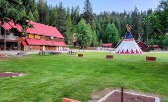 Southfork Lodge Cabin 3