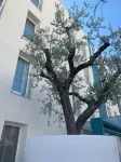 Biancodonda Greenblu Hotel & Spa Hotels in 