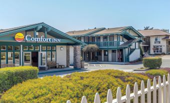 Quality Inn Half Moon Bay - Miramar Beach