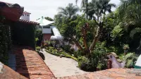 Villa Bonita les Terrasses Hotels in 
