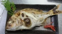 Himakajima Minshuku Kotoei