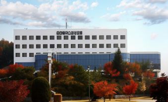 Chuncheon Bears Hotel - Housity