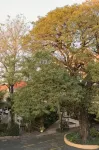Das Heim Hotel