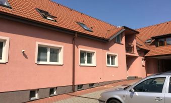 DEPENDANCE PATRIOT Trnava - Housity