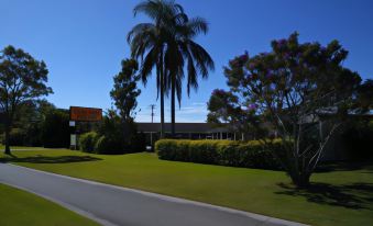a large palm tree stands in the foreground of a grassy area with a building and trees in the background at Ballina Colonial Motel