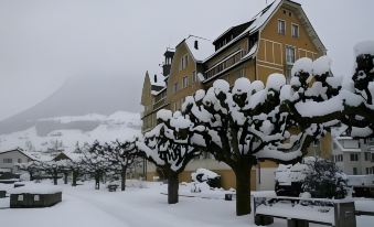 Rigiblick am See